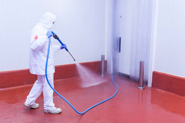Best Parking Lot and Garage Cleaning  in Wallace, FL
