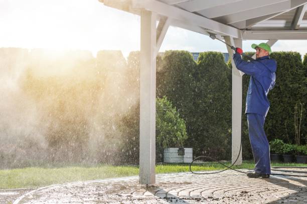 Best Sidewalk and Walkway Cleaning  in Wallace, FL