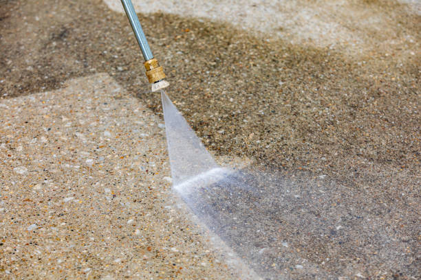 Best Animal Enclosure Cleaning  in Wallace, FL